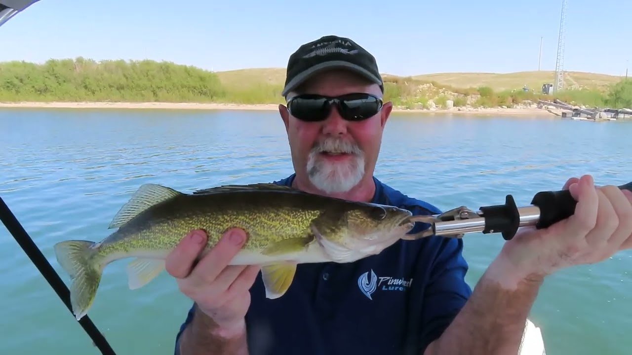 Jim holding a walleye on a sunny Alberta lake